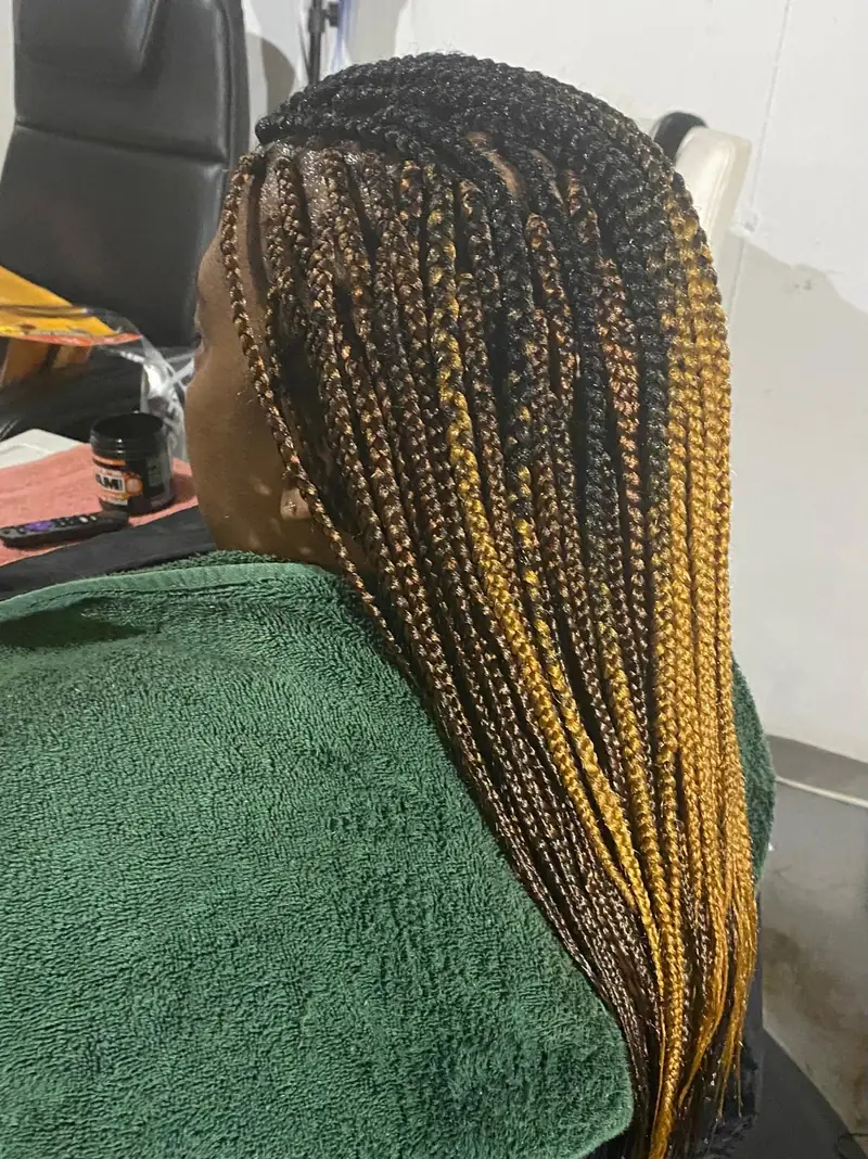 Finished box braids with a black-to-gold ombre