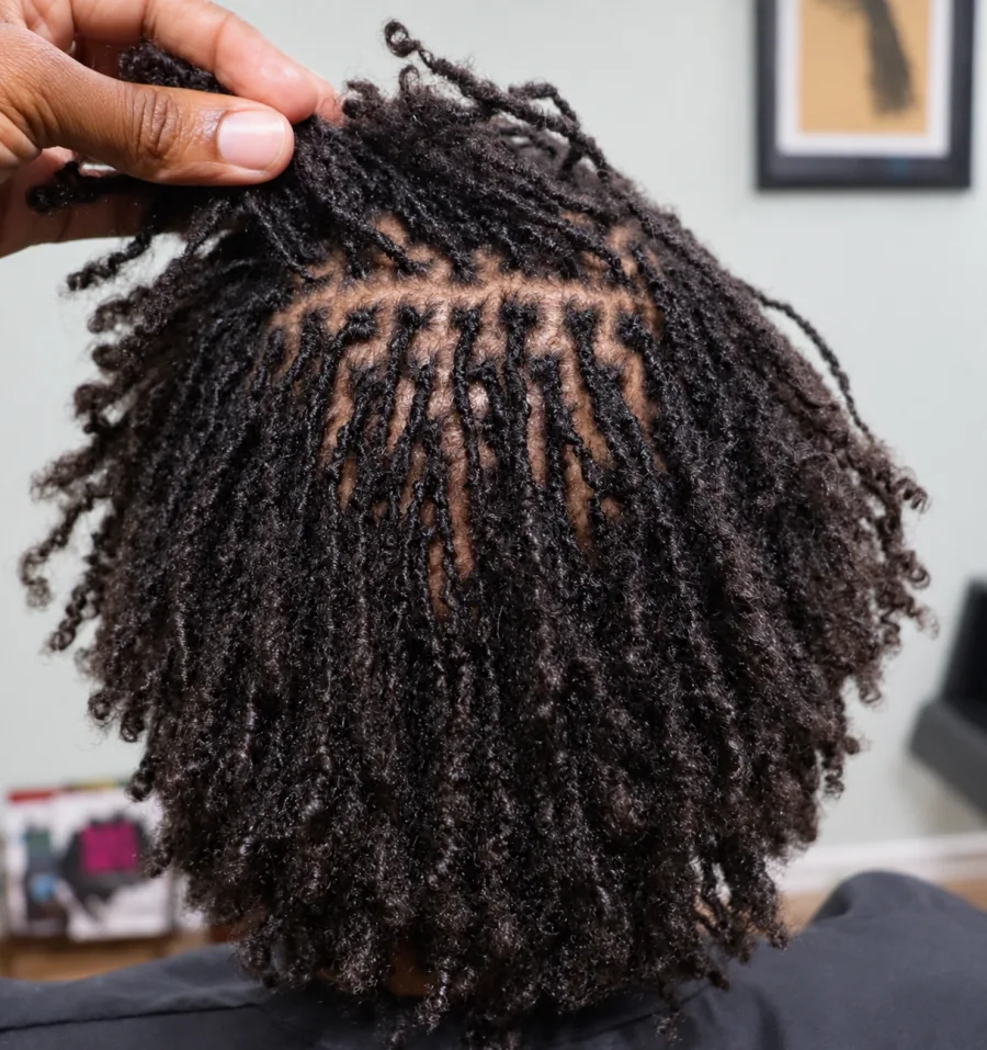 Close-up of a Sisterlocks installation showing clean parting and freshly formed locks